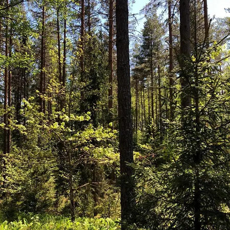 Retumi Holiday home Aluksne